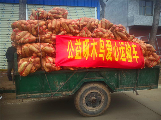 ＂愛心蘿卜＂來了！