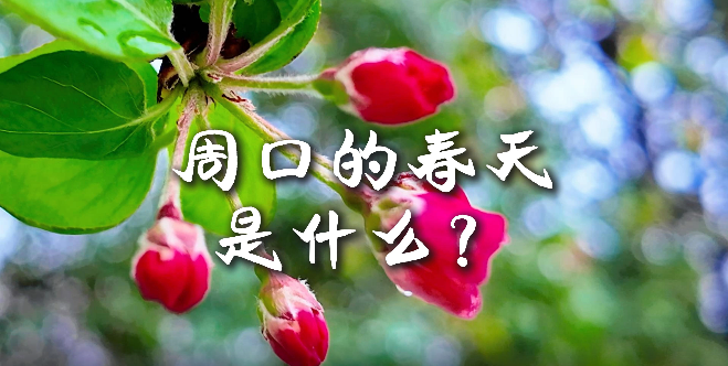 周口的春天，待你慢慢遇見